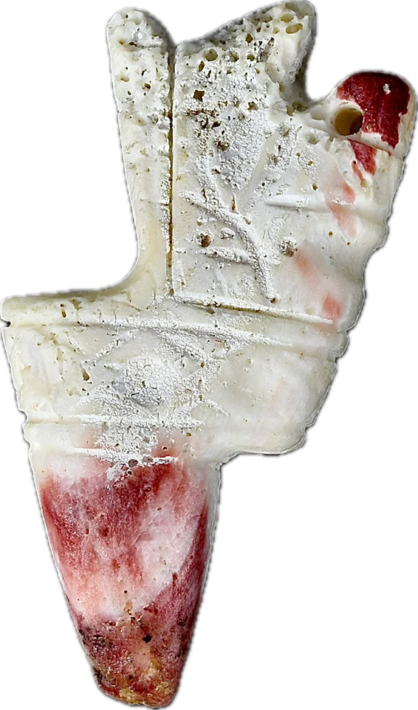 A Valdivian Spondylus Shell Artifact is being shown from its side view.