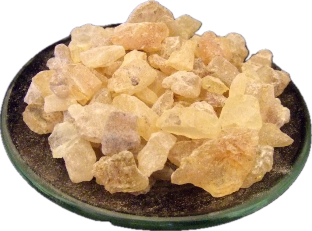 Copal resin is shown on a plate.