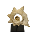 Aztec Carved Shell Ornament of Ehecatl
