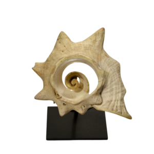 Aztec Carved Shell Ornament of Ehecatl