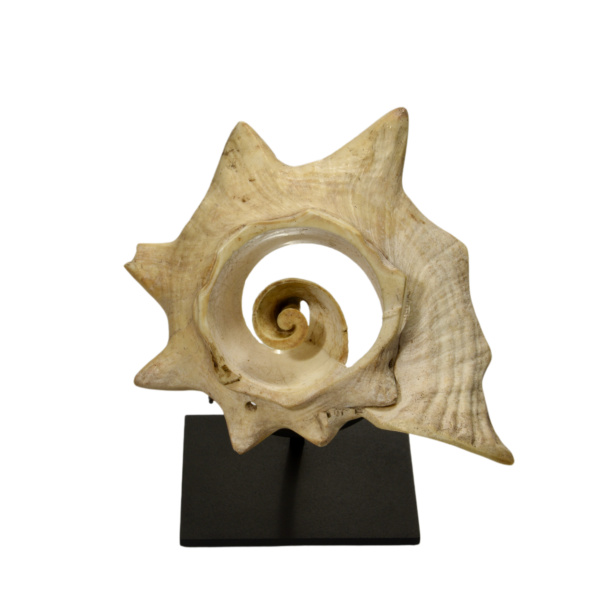 Aztec Carved Shell Ornament of Ehecatl