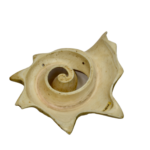 Aztec Carved Shell Ornament of Ehecatl