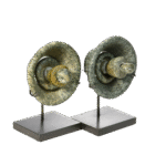 Maya Serpentine Earflare Assemblages