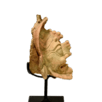 Maya Solar or Ancestral Supernatural Head Fragment