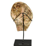 Mississippian Weeping Eye Shell Mask Gorget, Tennessee