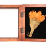 Nazca Feather Plume with Orange Parrot Feathers | 100–700 AD